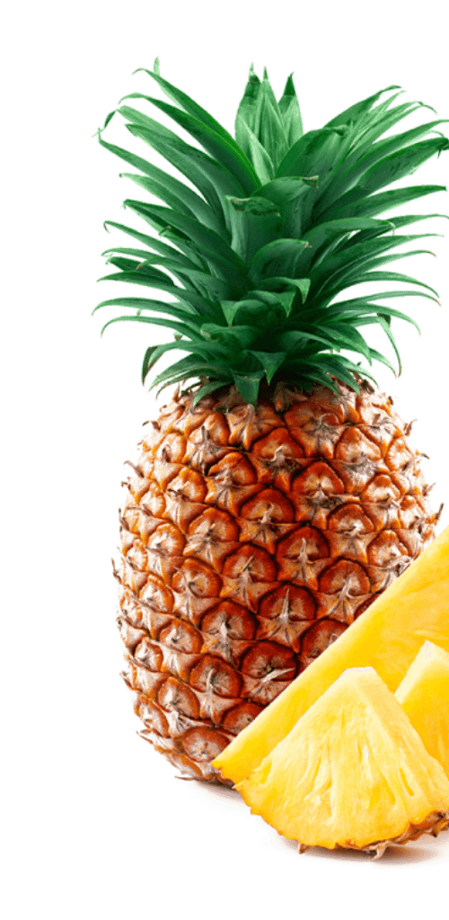 Florida moonshine company inspiration - pineapple